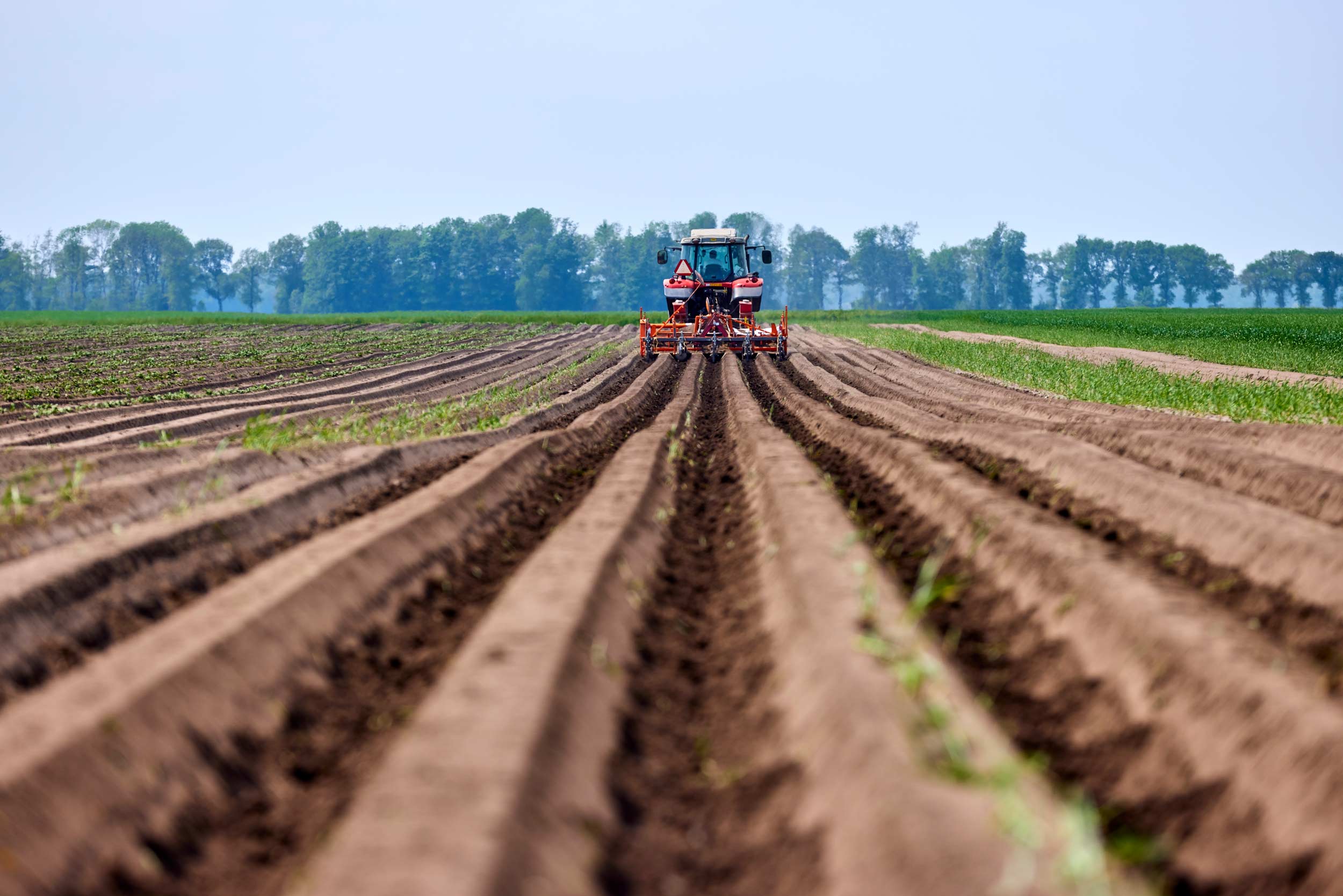 Economic & Social Policy